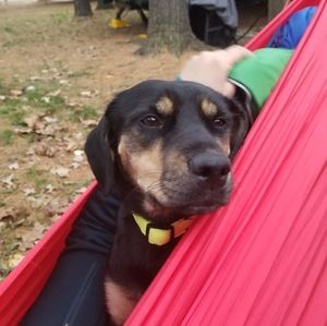 Meet your Posher, Mguzman